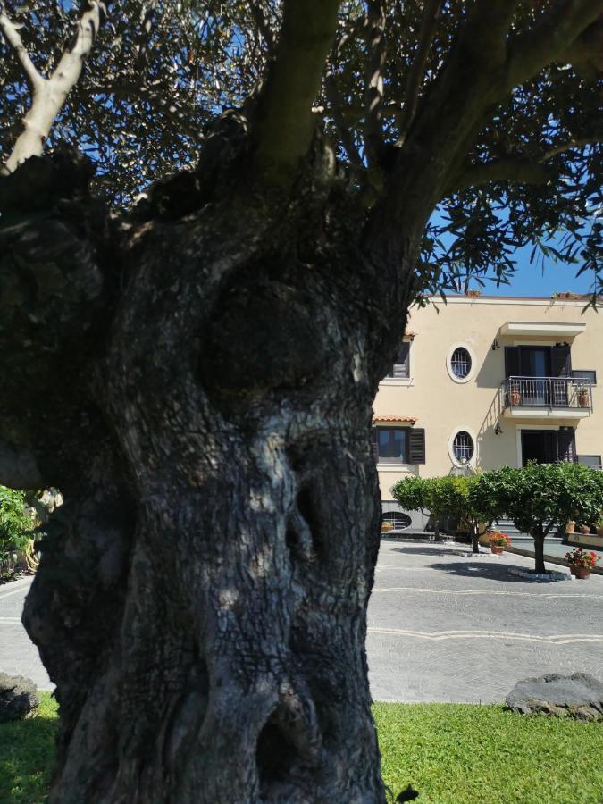 Atrium Pompei 빌라 외부 사진